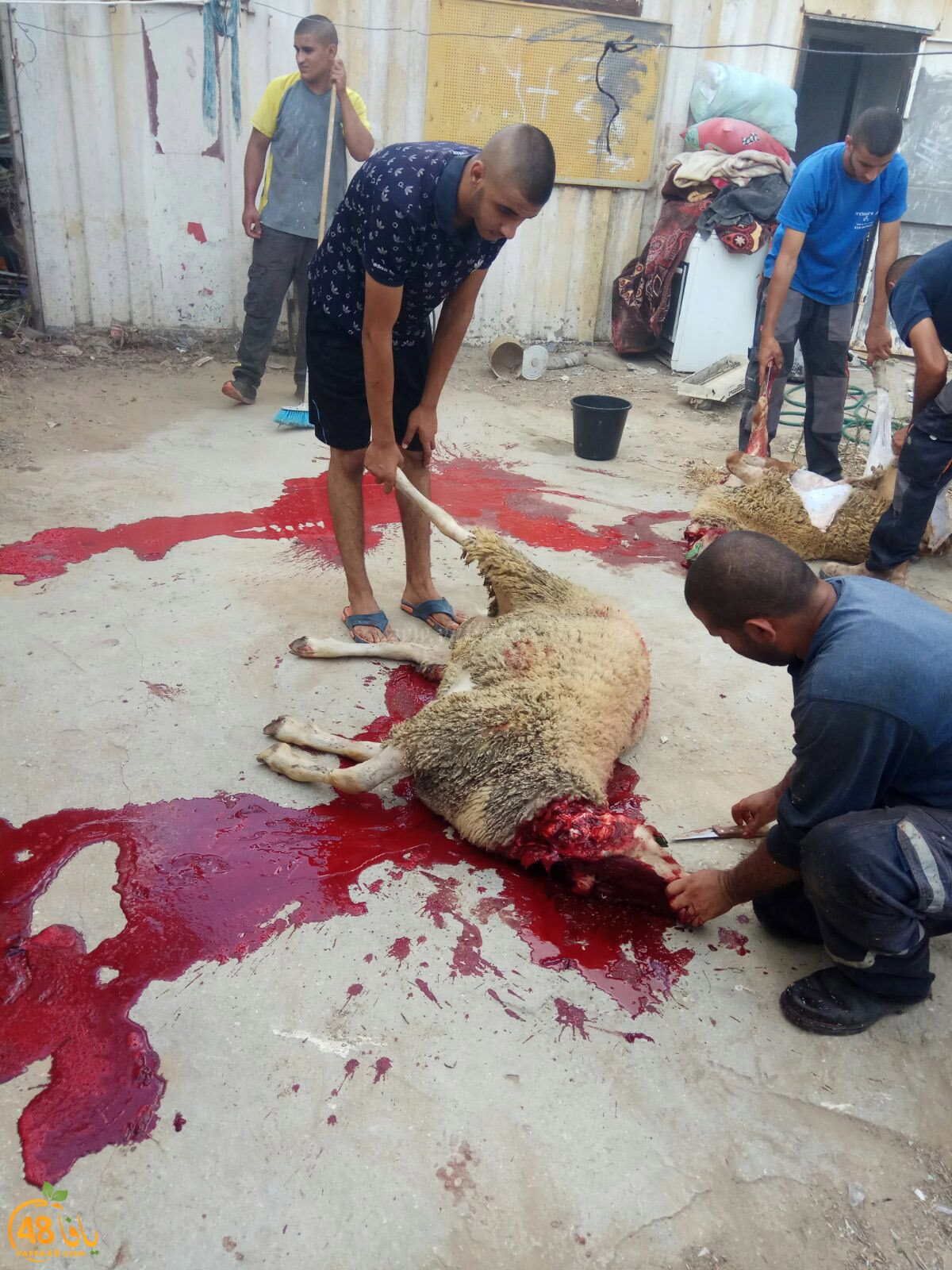 dab7 ada7y wu3ed (39).jpg